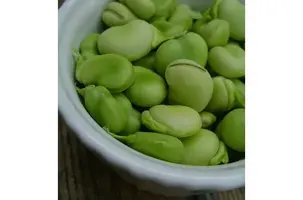 středního východu