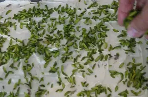 středního východu