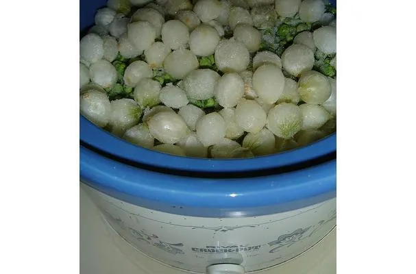 Halibut v omáčce z vína