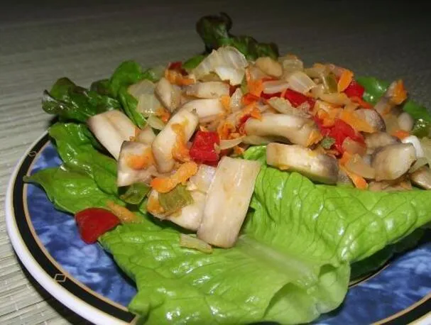 Veganská pikantní houbová směs za 10 minut.