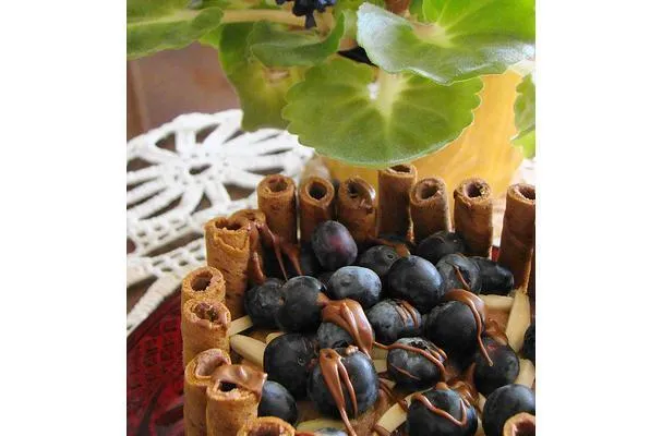 Čokoládový sorbet